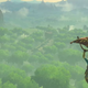 The Legend Of Zelda: Breath Of The Wild